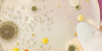 hygiene-luftbefeuchtung Erneuerung unserer Hygienezertifizierung