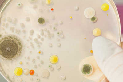 hygiene-luftbefeuchtung Erneuerung unserer Hygienezertifizierung